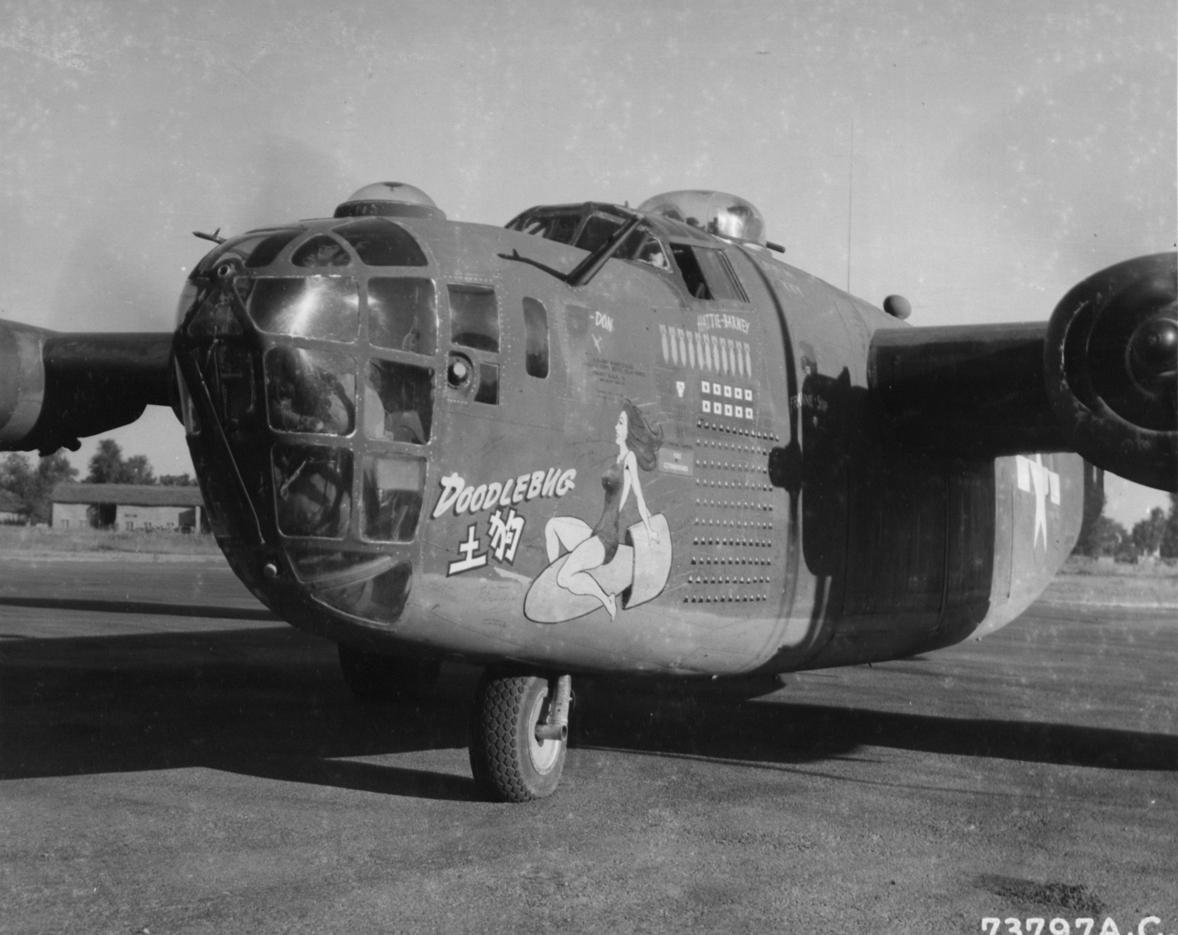 41-24223 B-24D Liberator 14AF 308BG373BS Doodlebug nose art left side CBI 000728