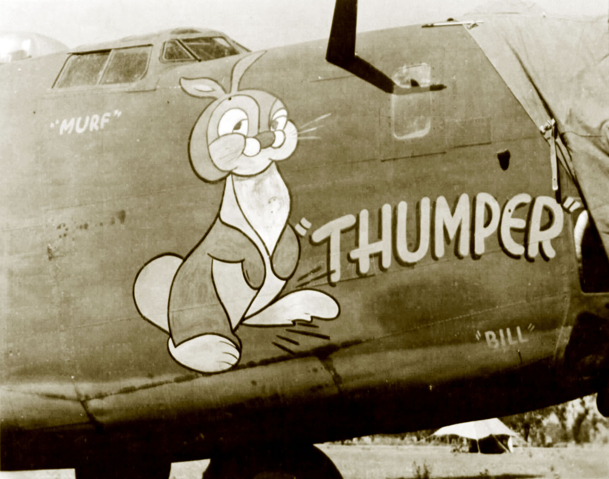 41-24287 B-24D Liberator 14AF 308BG375BS Thumper nose art right side China 01