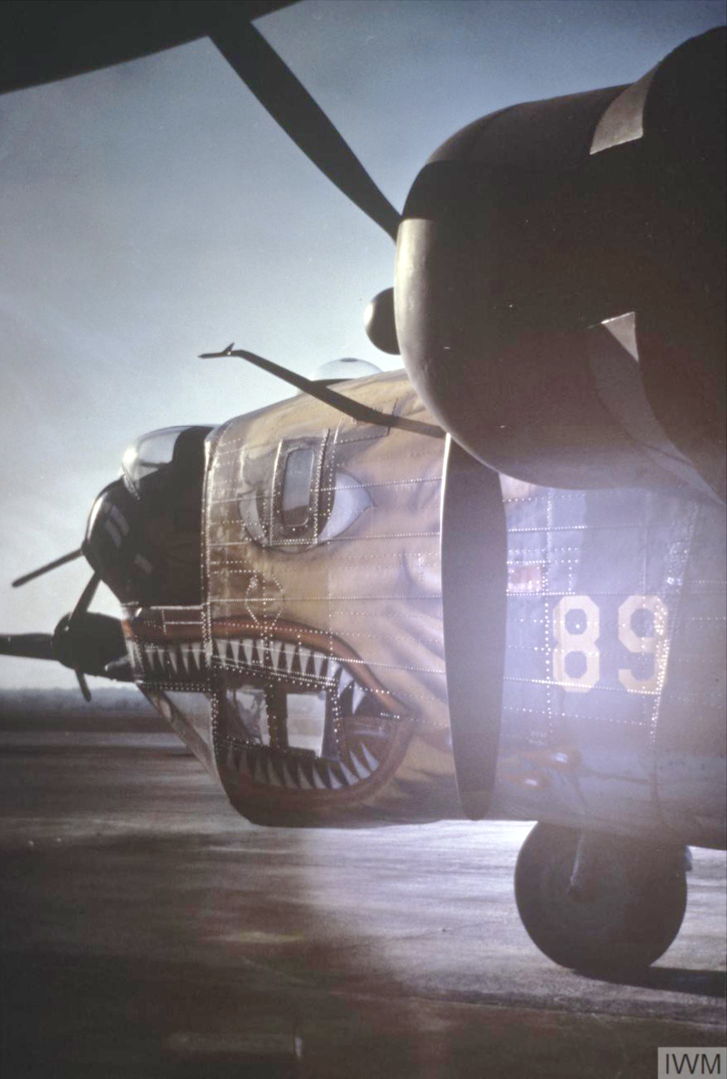 42-40503 B-24D Liberator 14AF 308BG374BS 89 Jungle Pussy nose art FRE7570
