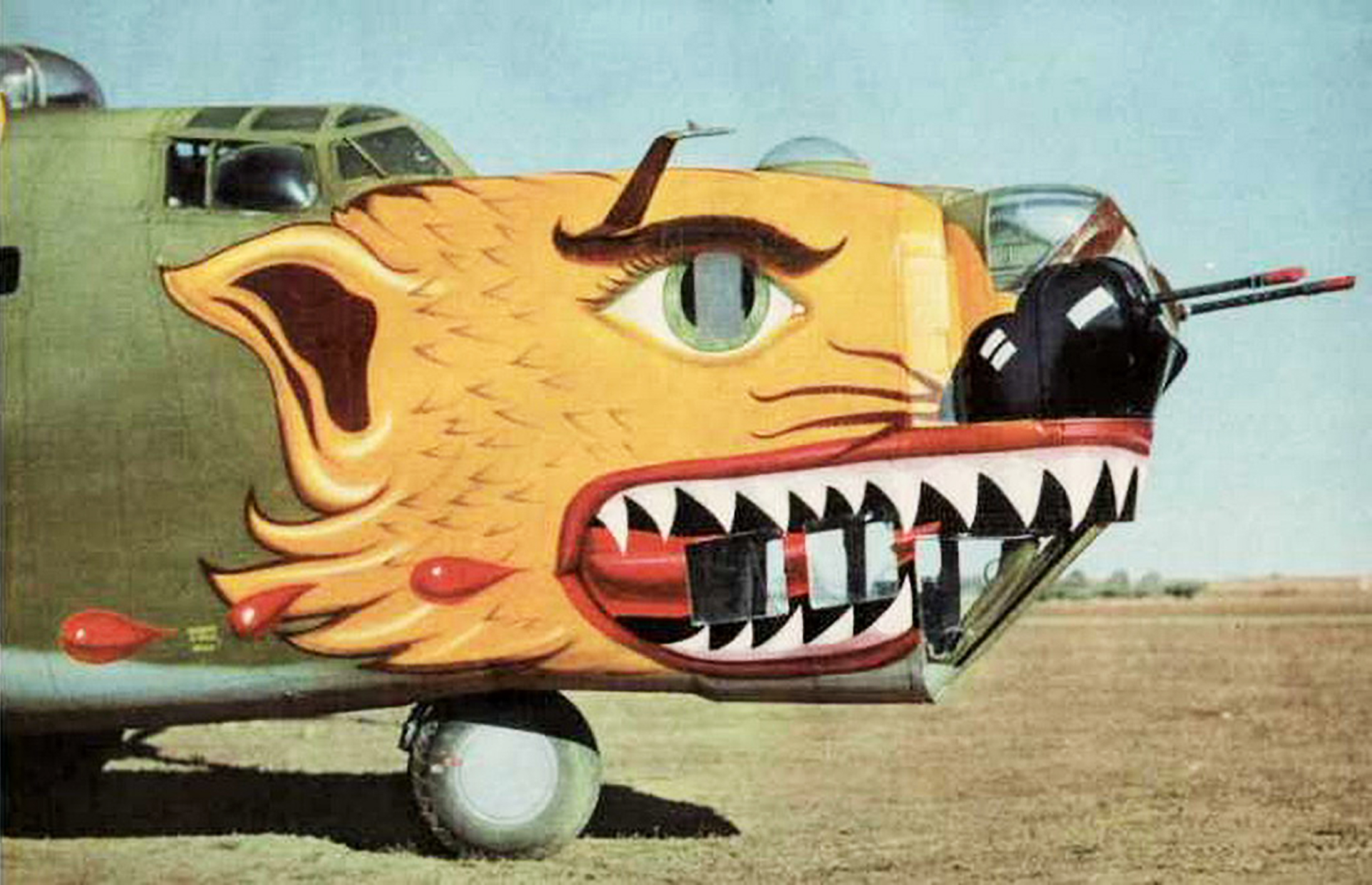 42-40503 B-24D Liberator 14AF 308BG374BS 89 Jungle Pussy nose art right side China 02