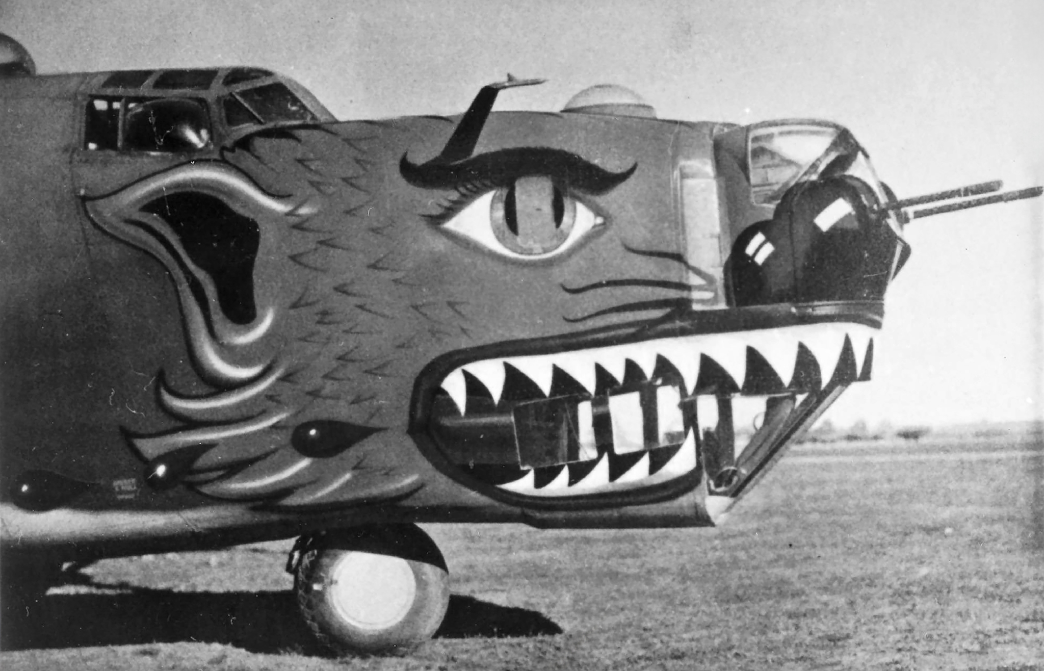 42-40503 B-24D Liberator 14AF 308BG374BS 89 Jungle Pussy nose art right side China 03