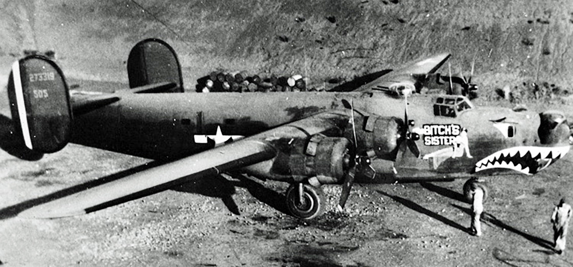 42-73319 B-24J Liberator 14AF 308BG375BS 505 The Bitch's Sister nose art right side CBI 04