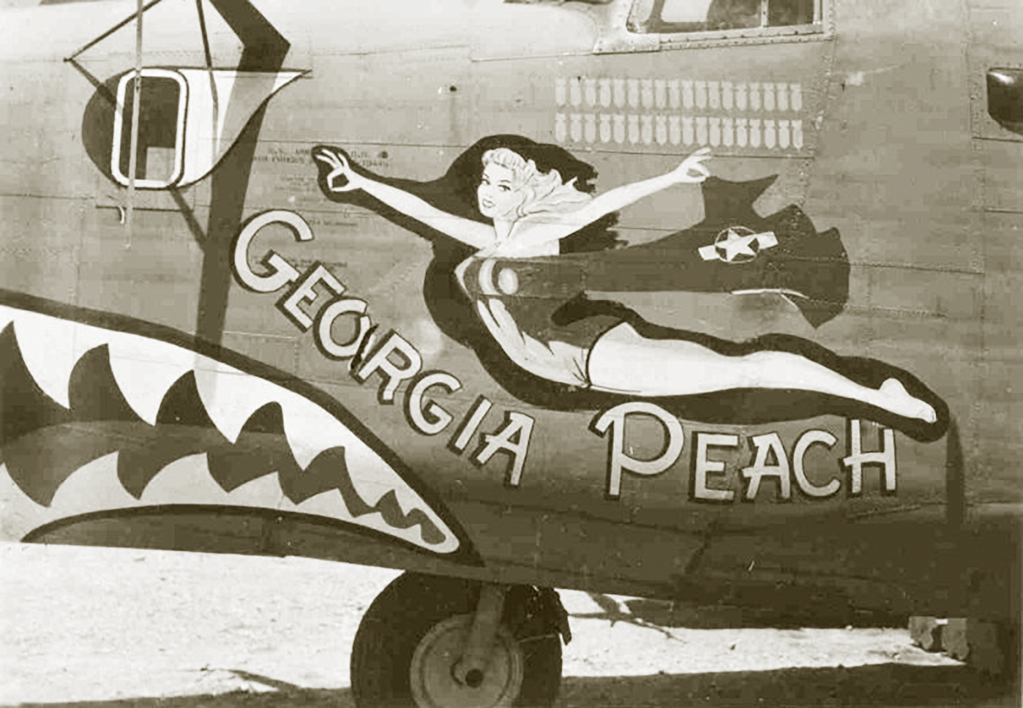 42-73445 B-24J Liberator 14AF 308BG375BS Georgia Peach nose art left side China 01