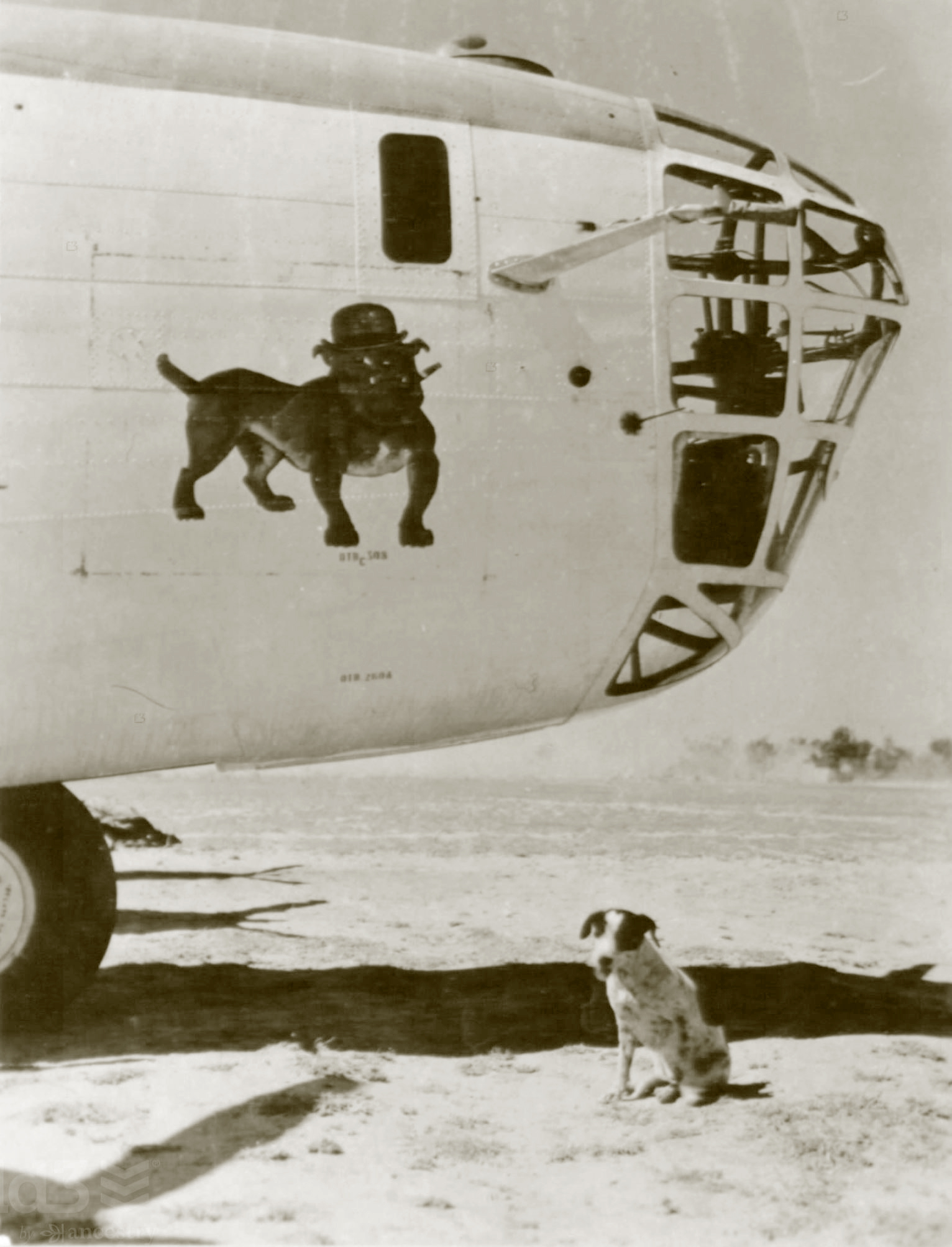 Consolidated B-24D Liberator 14AF 308BG British Bulldog nose art China 01