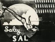 Asisbiz 42-100219 B-24L Liberator 7AF 30BG392BS Salty Sal nose art right side FRE11461