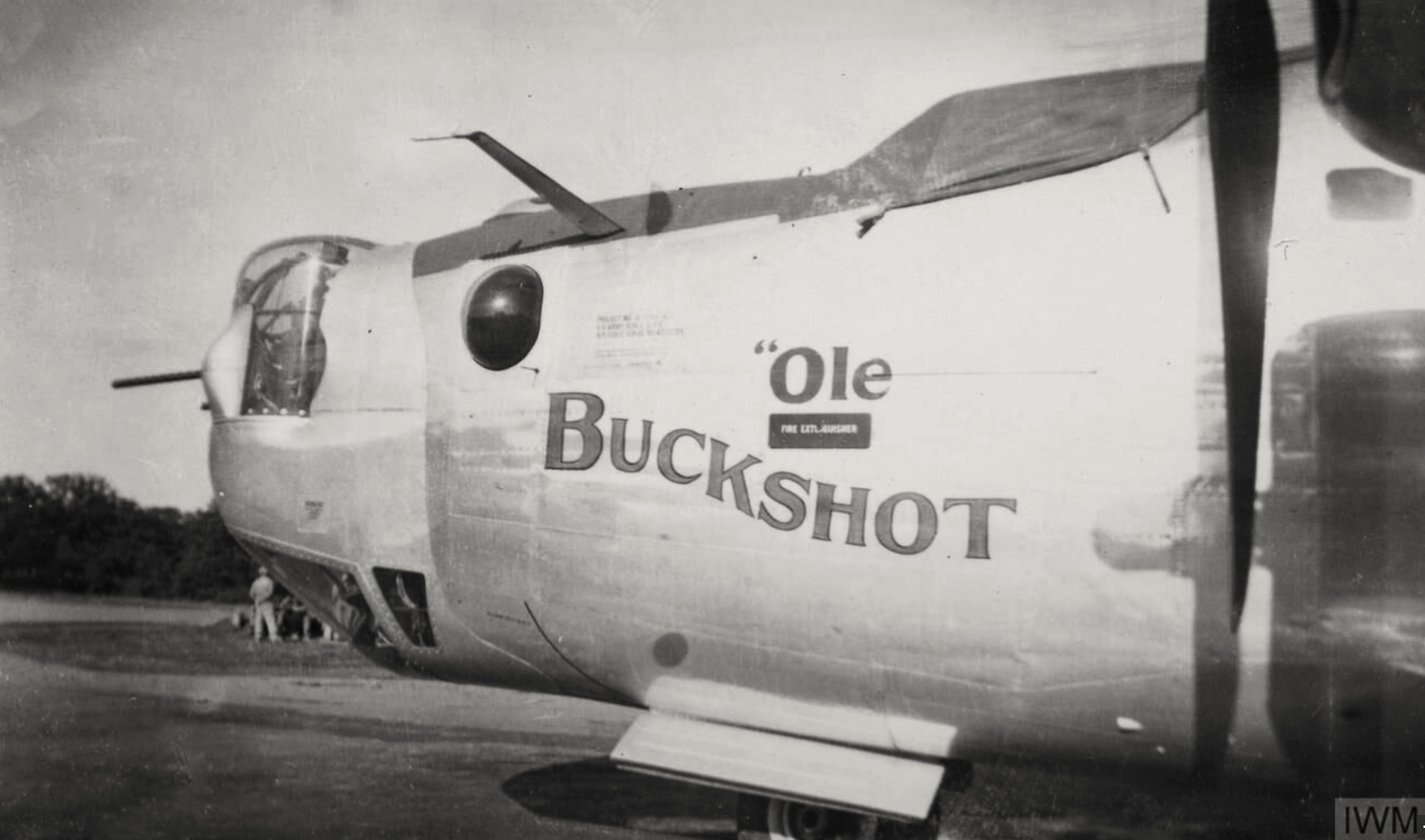 42-50739 B-24J Liberator 8AF 389BG567BS HPZ Ole Buckshot nose art left side FRE1514