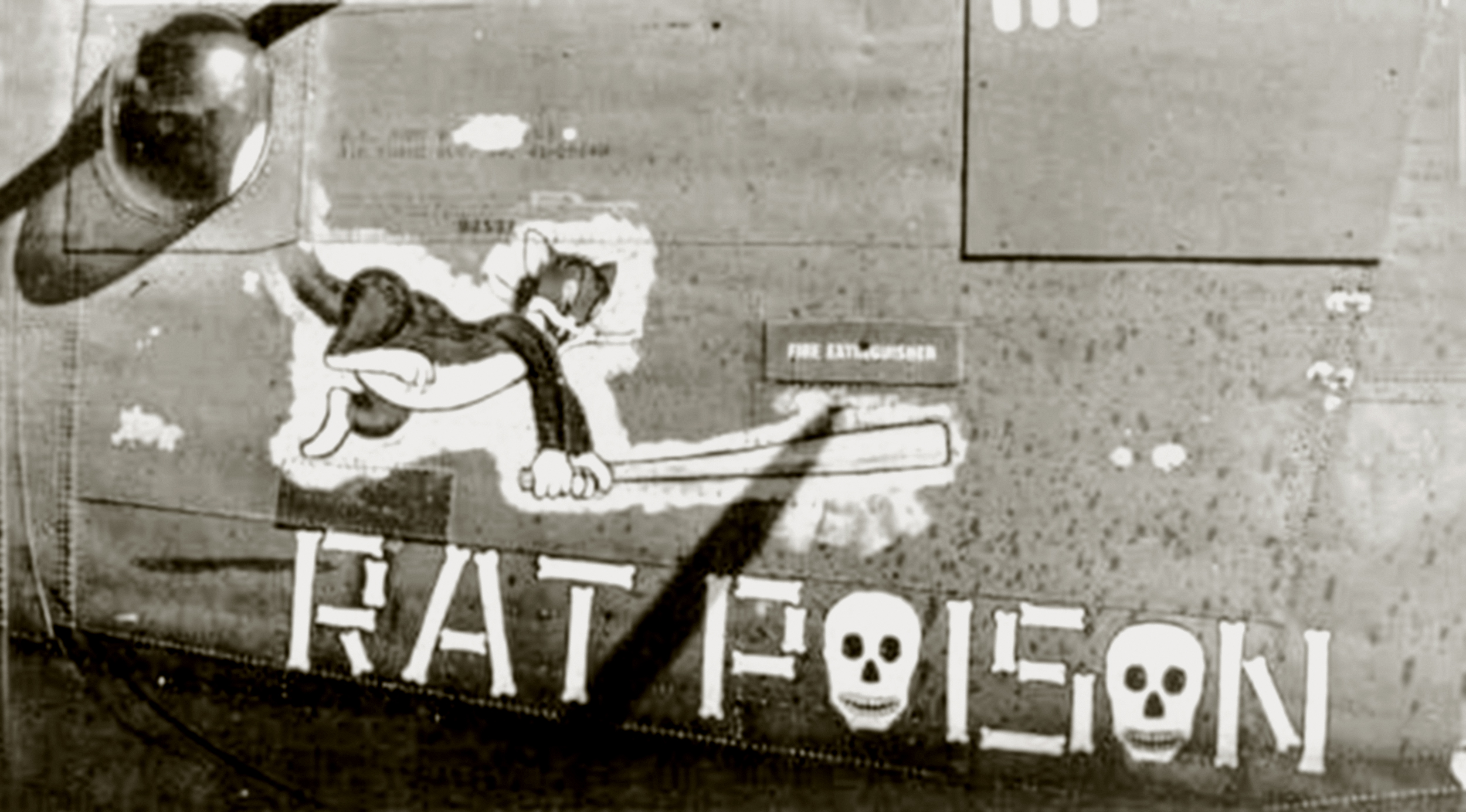 41-29560 B-24H Liberator 8AF 392BG579BS GCH Rat Poison nose art left side 01