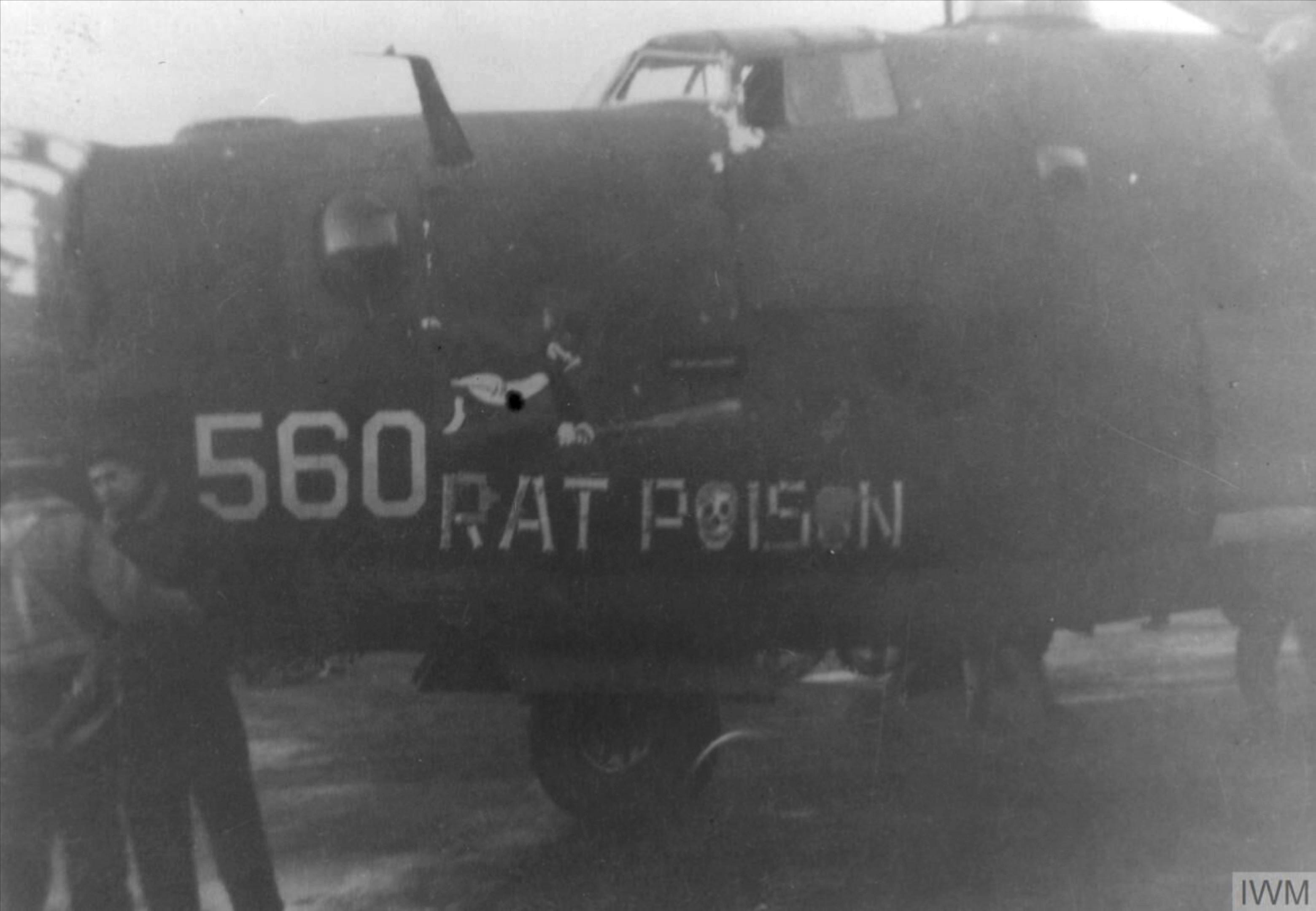 41-29560 B-24H Liberator 8AF 392BG579BS GCH Rat Poison nose art left side FRE8002