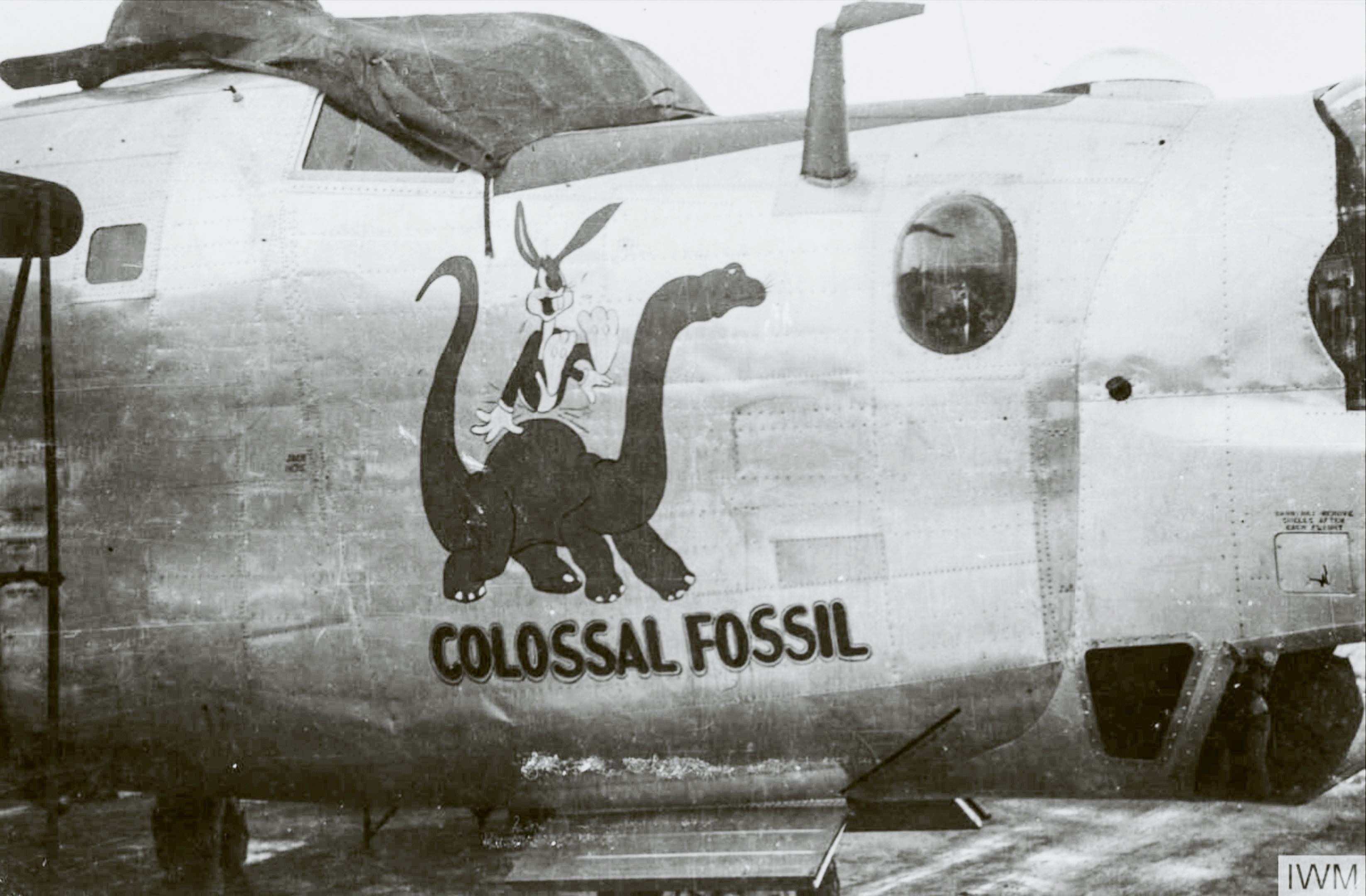 Consolidated B-24 Liberator 8AF 392BG577BS DC Colossal Fossil nose art right side FRE7989