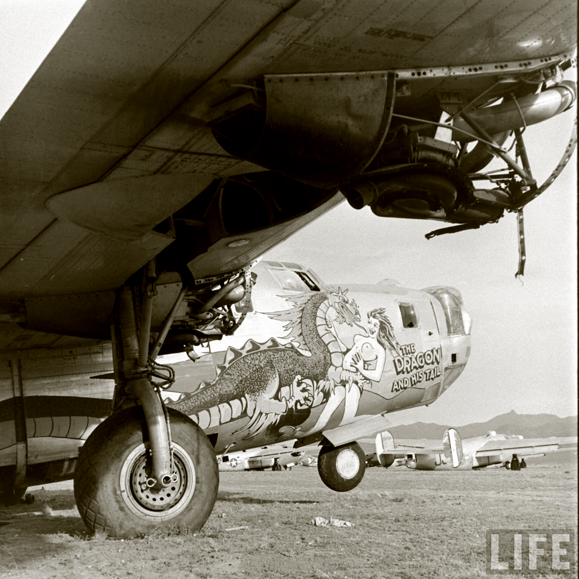 44-40973 B-24J Liberator 5AF 43BG64BS The Dragon and His Tail nose art right side Kingman USA 1947