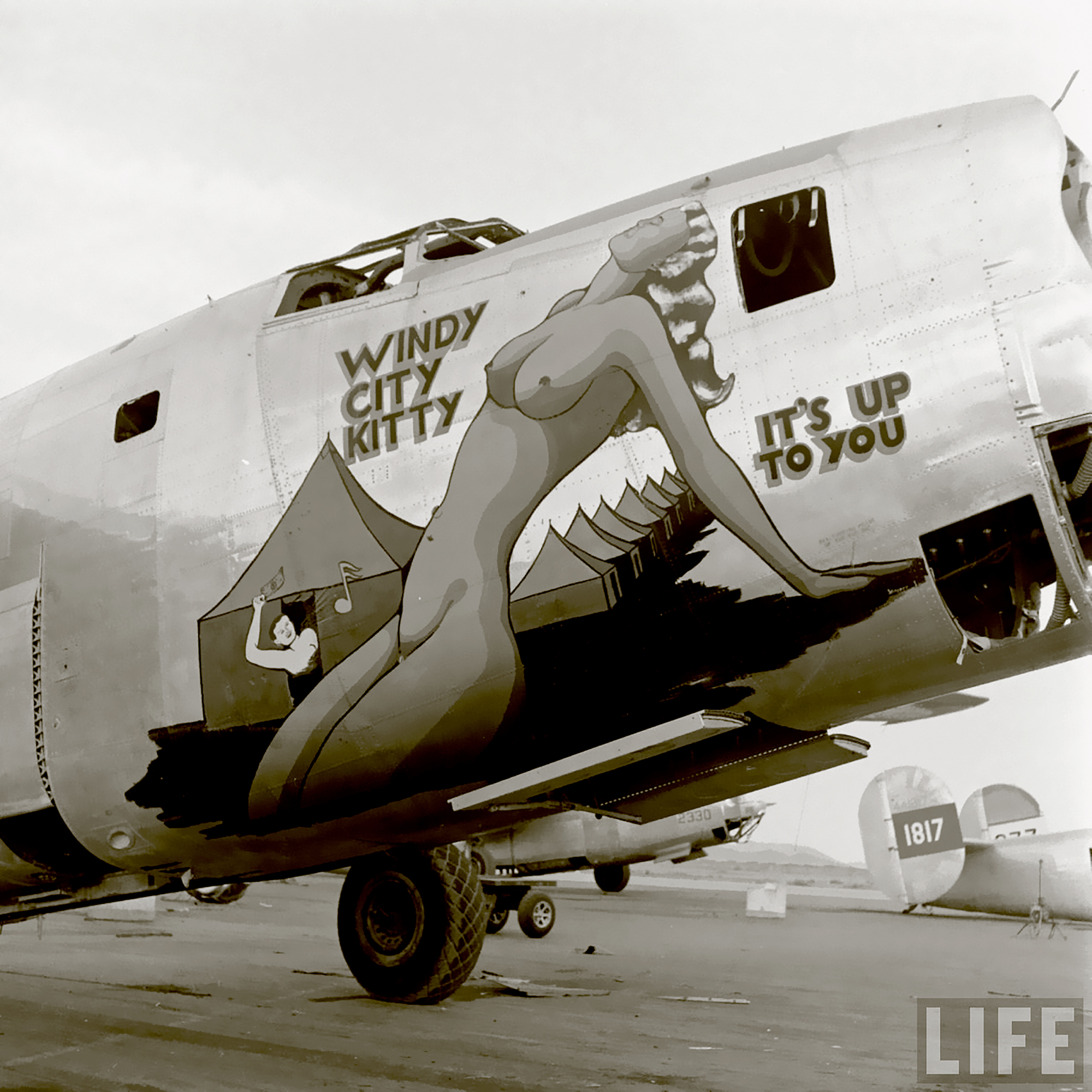 44-42362 B-24M Liberator 5AF 43BG64BS Windy City Kitty nose art right side Kingman No.3 USA April 1947