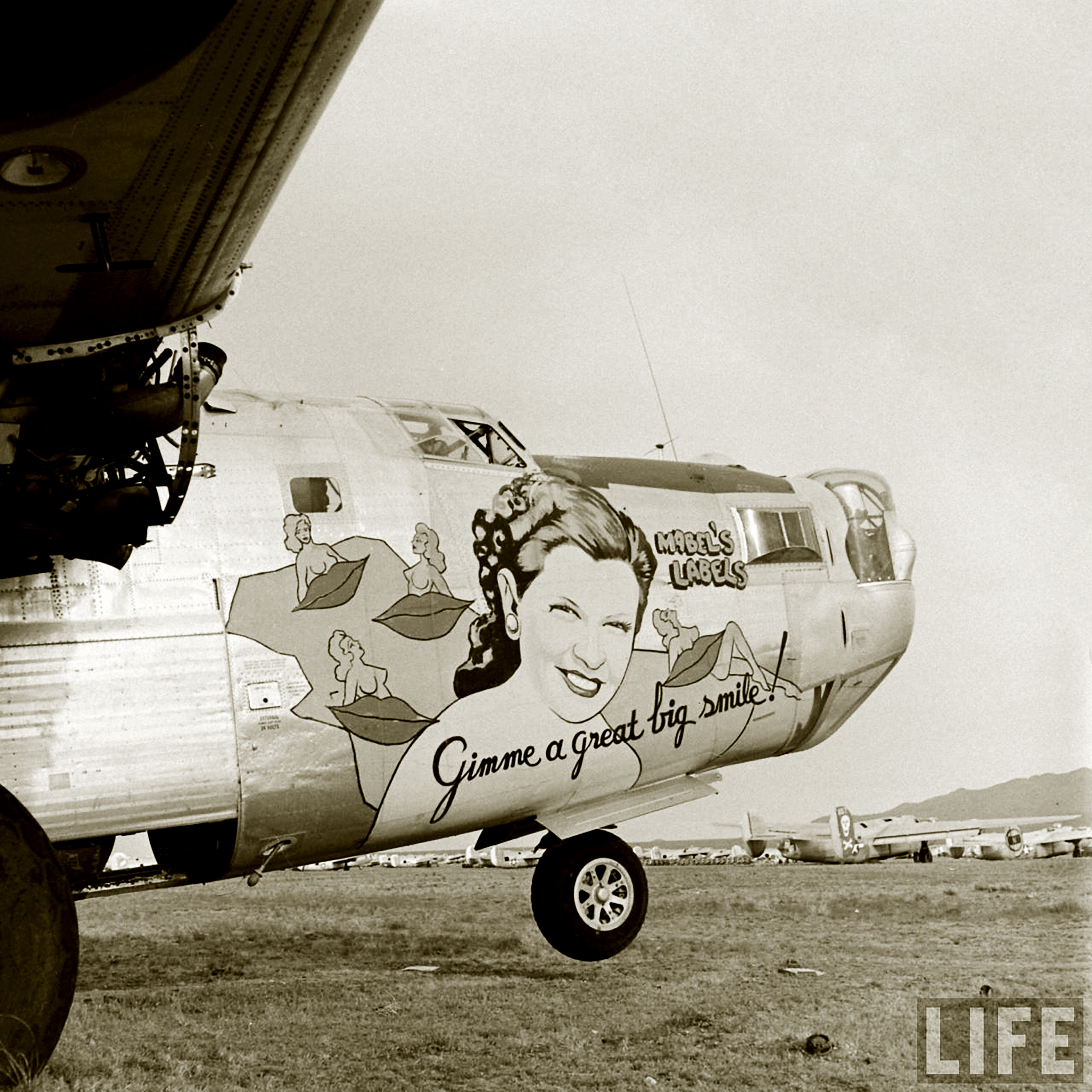 44-49854 B-24L Liberator 5AF 43BG64BS Mabel's Labels nose art right side Kingman No.6 USA 1947
