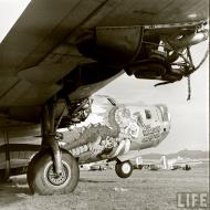 Asisbiz 44-40973 B-24J Liberator 5AF 43BG64BS The Dragon and His Tail nose art right side Kingman USA 1947