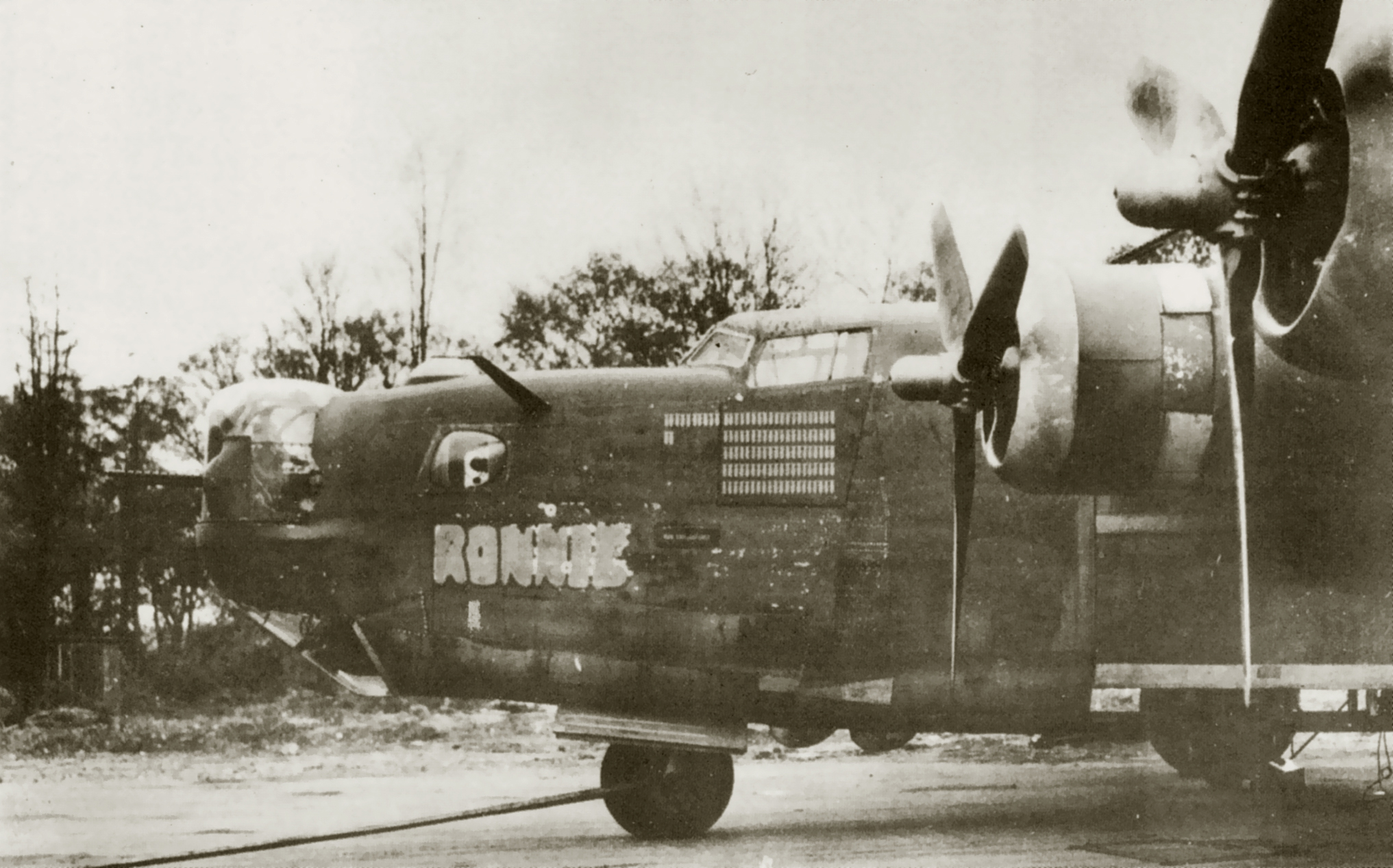 41-29144 B-24H Liberator 8AF 446BG704BS FLP Ronnie nose art left side England 01