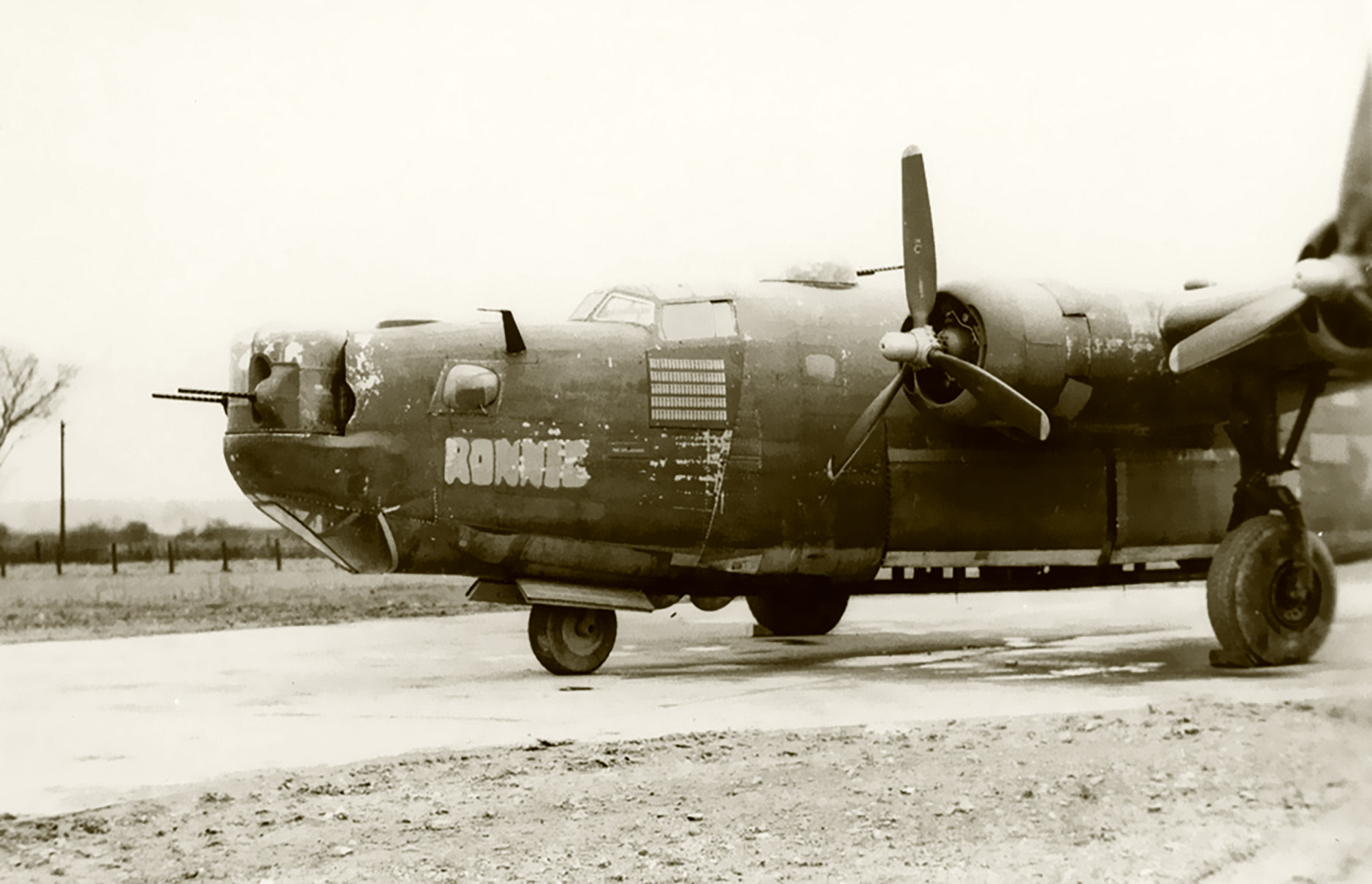 41-29144 B-24H Liberator 8AF 446BG704BS FLP Ronnie nose art left side England 02