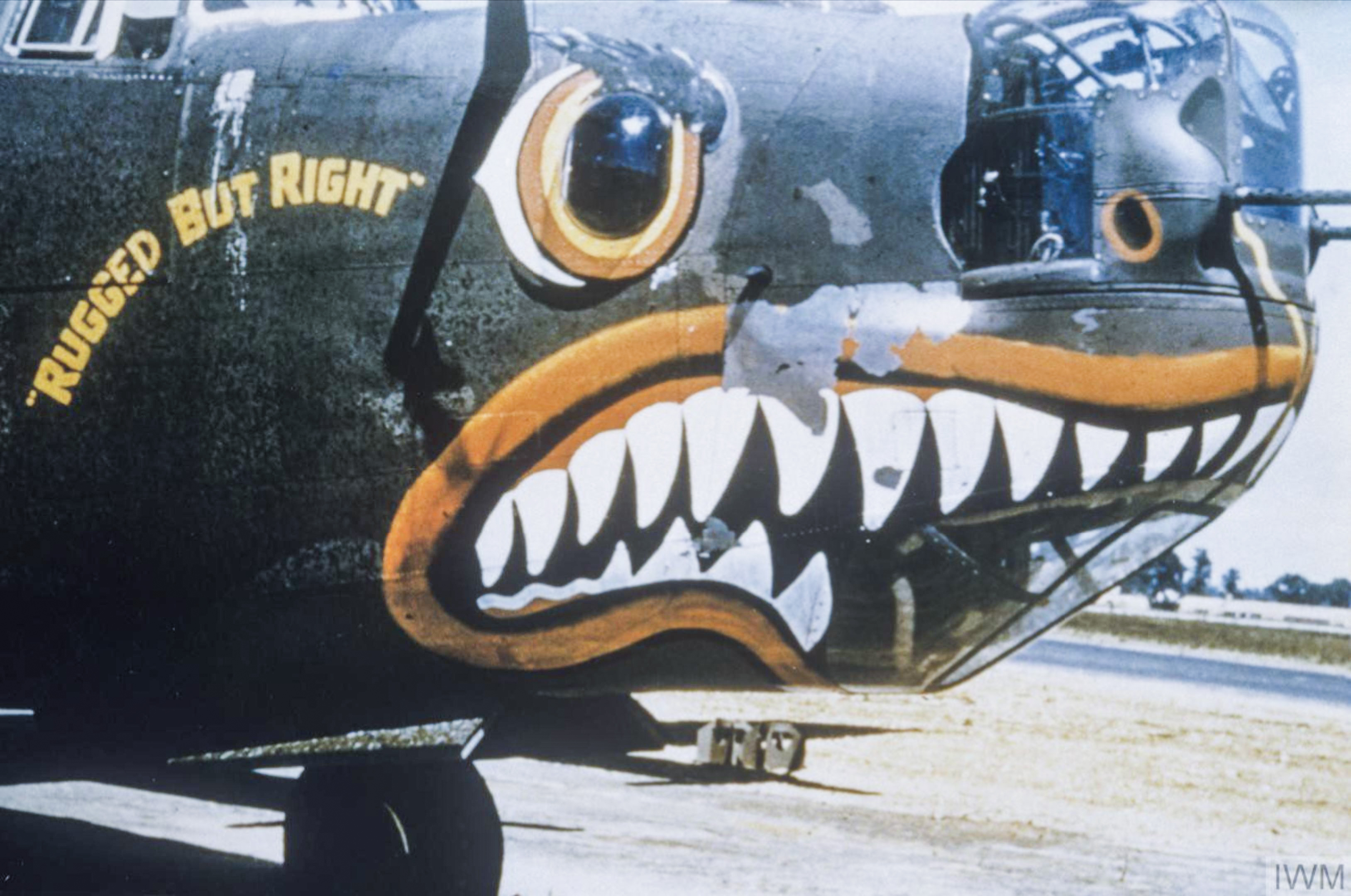 42-94953 B-24H Liberator 8AF 448BG715BS IOC Rugged but Right nose art FRE6855