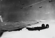 Asisbiz Consolidated B-24 Liberators 8AF 44BG over the DZ with one aircraft trailing smoke 8th Feb 1944 FRE3459