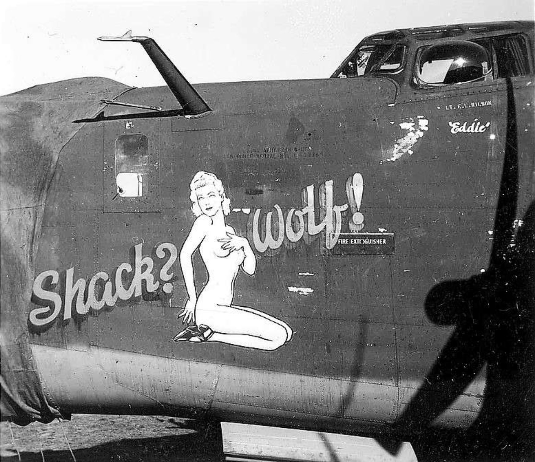 41-29194 B-24H Liberator 15AF 451BG725BS 61 Shack Wolf nose left side 01
