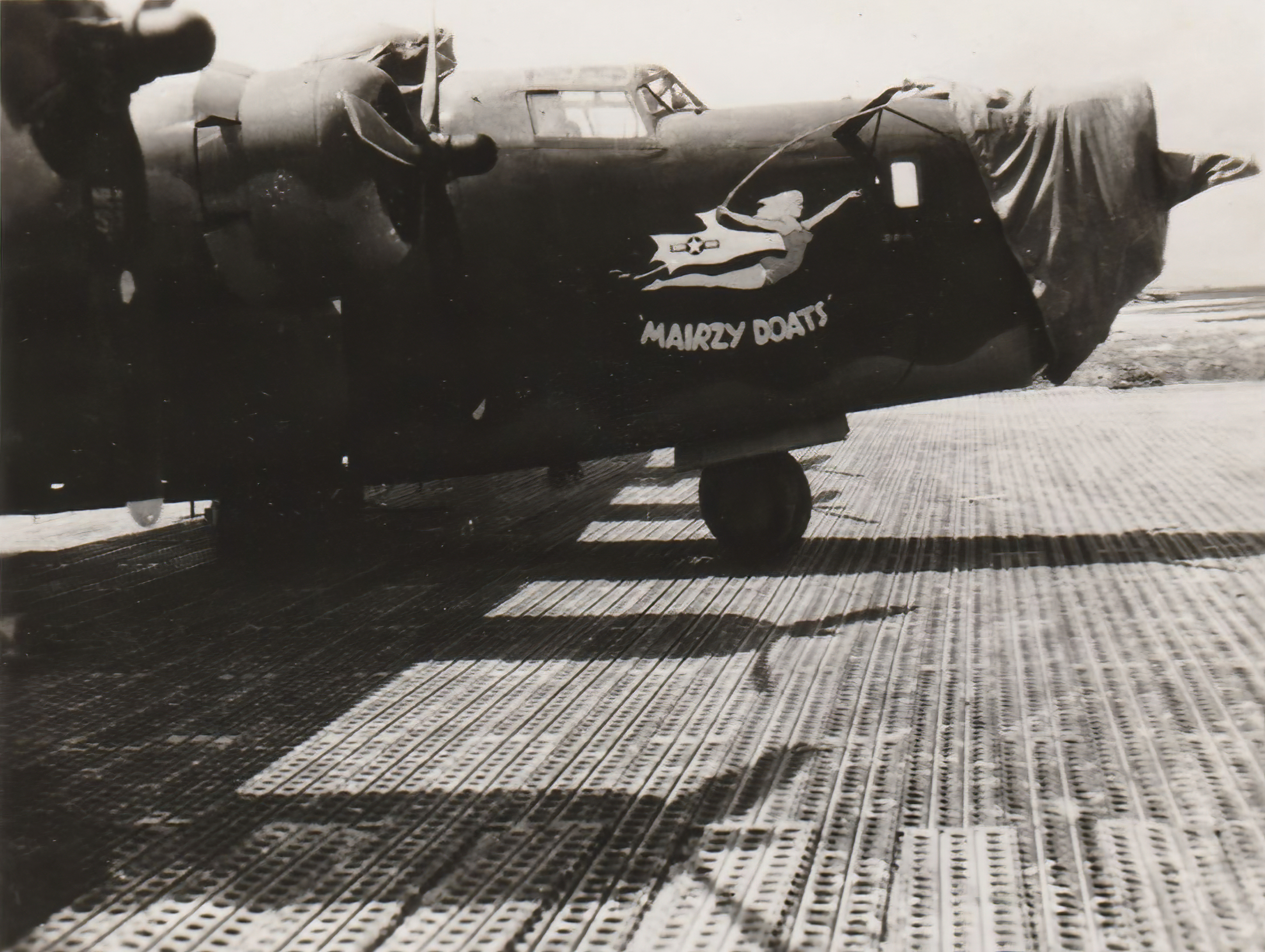 42-78188 B-24G Liberator 15AF 451BG724BS 31 Mairzy Doats aka Satan's Sister nose art right side 01