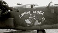 Asisbiz 42-78102 B-24G Liberator 15AF 451BG726BS 45 Cannon Fodder nose art 01