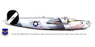 Asisbiz 42-51114 B-24H Liberator 8AF 2AD 2CBW 453BG733BS F8J Old Buckenham 1944 0A