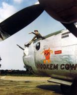 Asisbiz 42-95120 B-24H Liberator 8AF 458BG755BS J3M Hookem Cow nose art left side 01