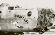 Asisbiz 44-40281 B-24J Liberator 8AF 458BG753BS J4Q A Dog's Life nose art right side England 01