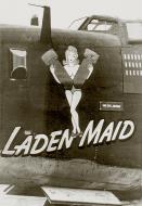 Asisbiz 42-52560 B-24H Liberator 8AF 466BG786BS U8M Laiden Maiden nose art left side England 01