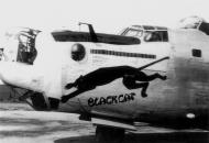 Asisbiz 42-95592 B-24J Liberator 8AF 466BG784BS T9U Black Cat nose art left side England 01
