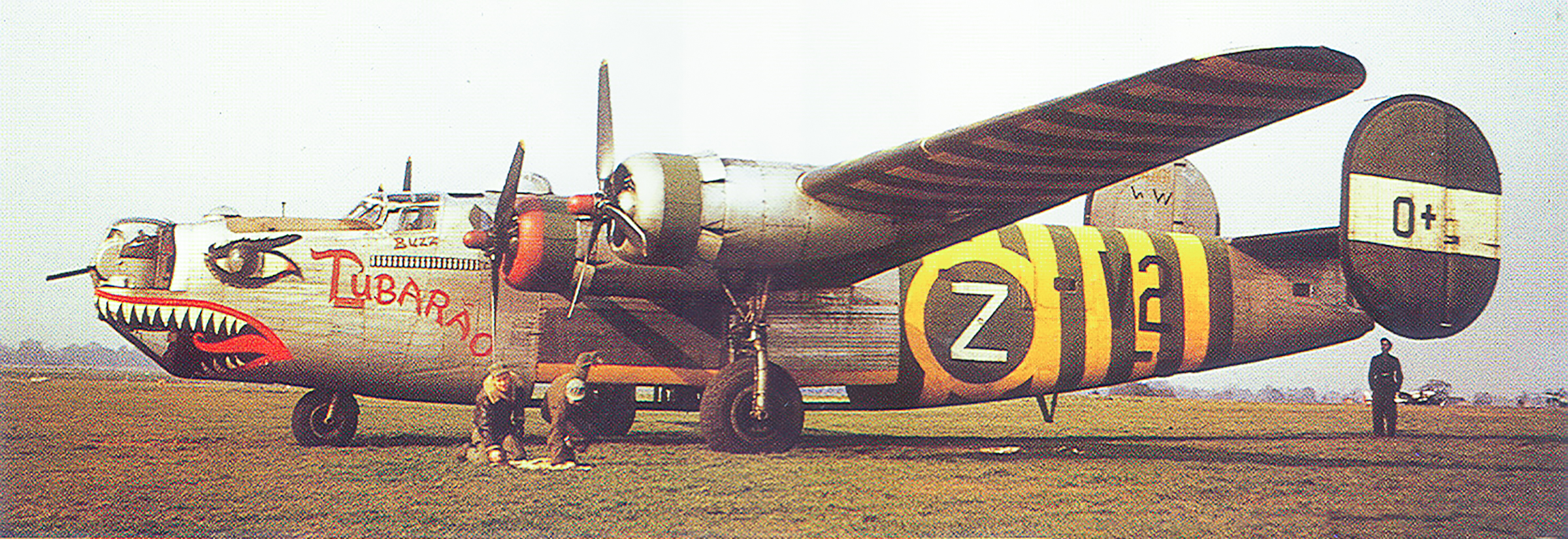 44-40101 B-24J Liberator 8AF 491BG852BS V2O+ Tubarao assembly ship England 01