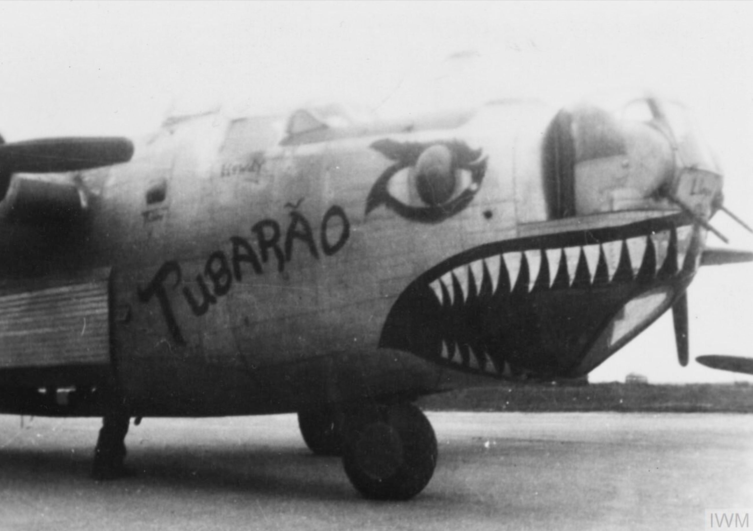 44-40101 B-24J Liberator 8AF 491BG852BS V2O+ Tubarao assembly ship England FRE8604