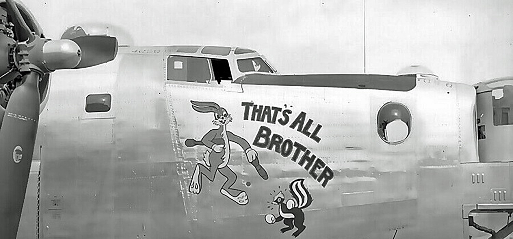 44-40120 B-24J Liberator 8AF 492BG859BS X4D+ That's All Brother nose art right side 01