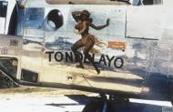 Asisbiz 44-40284 B-24J Liberator 8AF 493BG860BS N6F Tondelayo nose art previously 34BG391B FRE6892