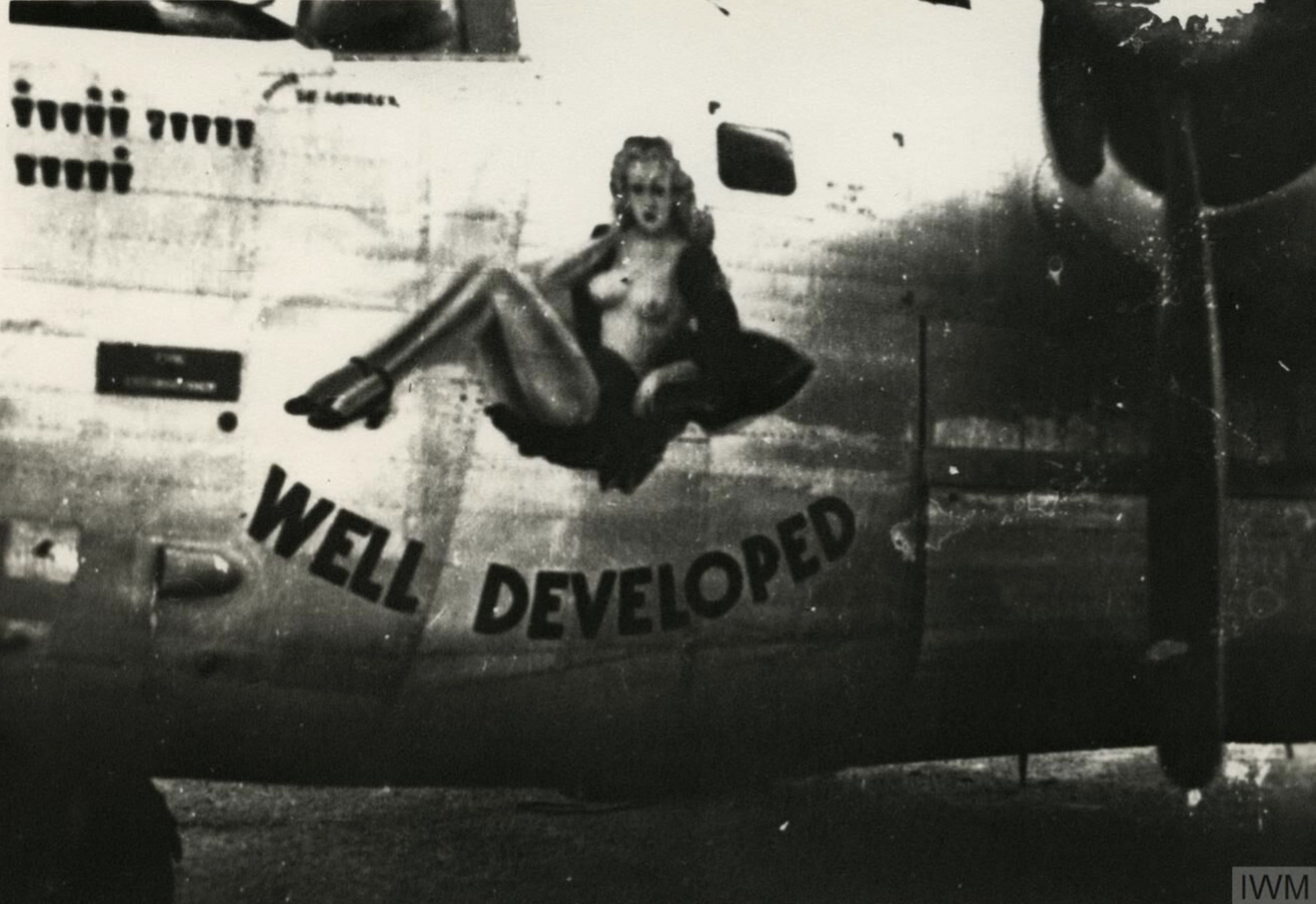 44-40209 B-24J Liberator 7AF 494BG and 11BG then coverted to a F-7B with 2RS Well Developed nose art FRE11459