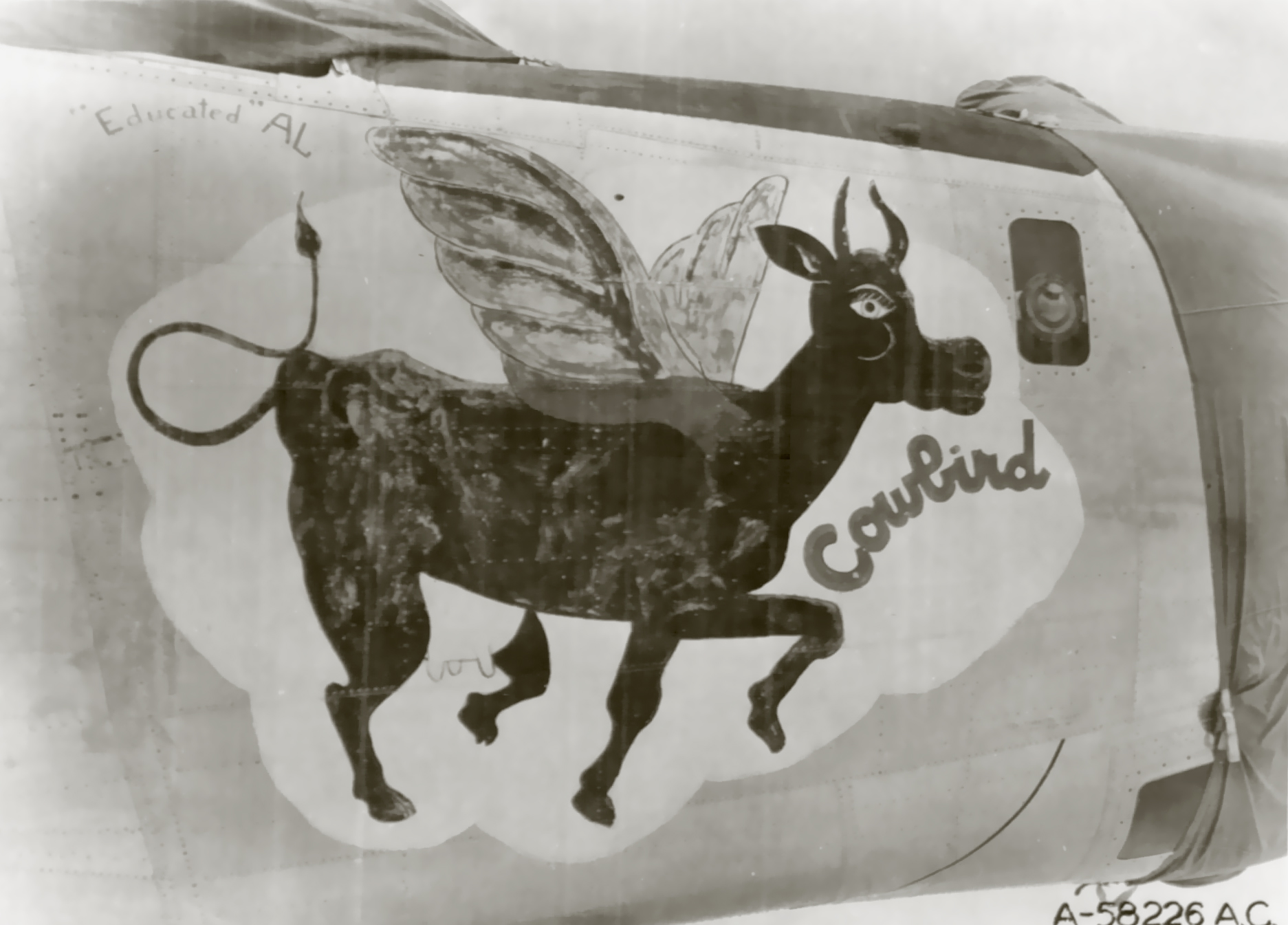 44-40790 B-24J Liberator 7AF 494BG867BS 790 Cowbird nose art right side 01