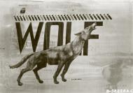 Asisbiz 44-40737 B-24J Liberator 7AF 494BG867BS 737 Wolf nose art right side 01