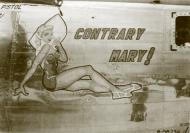Asisbiz 44-40739 B-24J Liberator 7AF 494BG864BS 739 Contrary Mary nose art right side 1945 01