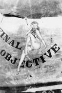 Asisbiz 44-51047 B-24M Liberator 7AF 494BG864BS 495 Final Objective nose art right side 01
