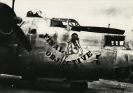 Asisbiz 44-51047 B-24M Liberator 7AF 494BG864BS 495 Final Objective nose art right side FRE11462