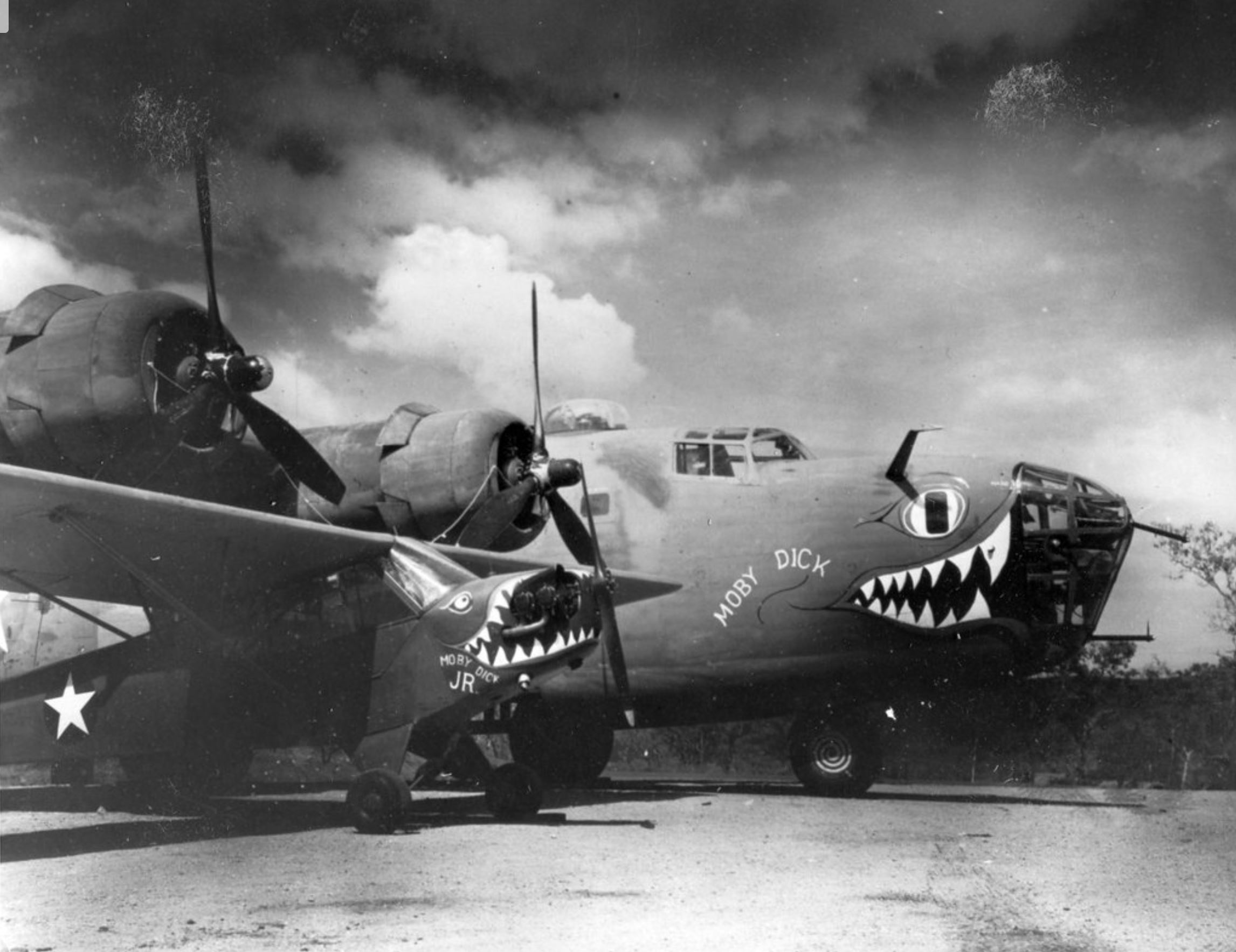 41-23828 B-24D Liberator 5AF 90BG321BS The Falcon nose art right side 02