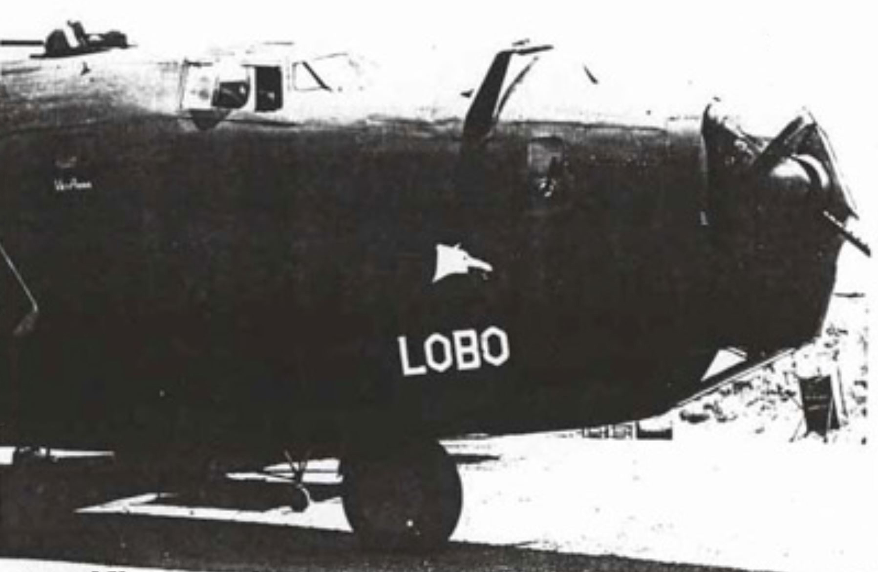 42-40830 B-24D Liberator 5AF FEAF 90BG320BS Lobo lost New Guinea 1st Dec 1943 01