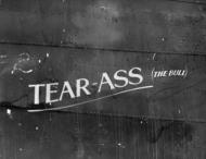 Asisbiz 41 23720 B 24D Liberator 5AF 90BG321BS Tear Ass The Bull nose art 01