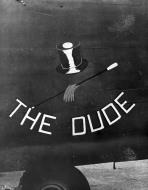 Asisbiz 42 40326 B 24D Liberator 5AF 90BG320BS The Dude nose art right side in New Guinea 01
