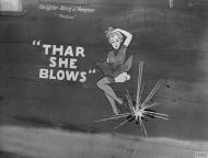 Asisbiz 41-23658 B-24D Liberator 8AF 93BG329BS RER or U Thar She Blows nose art left side FRE3785