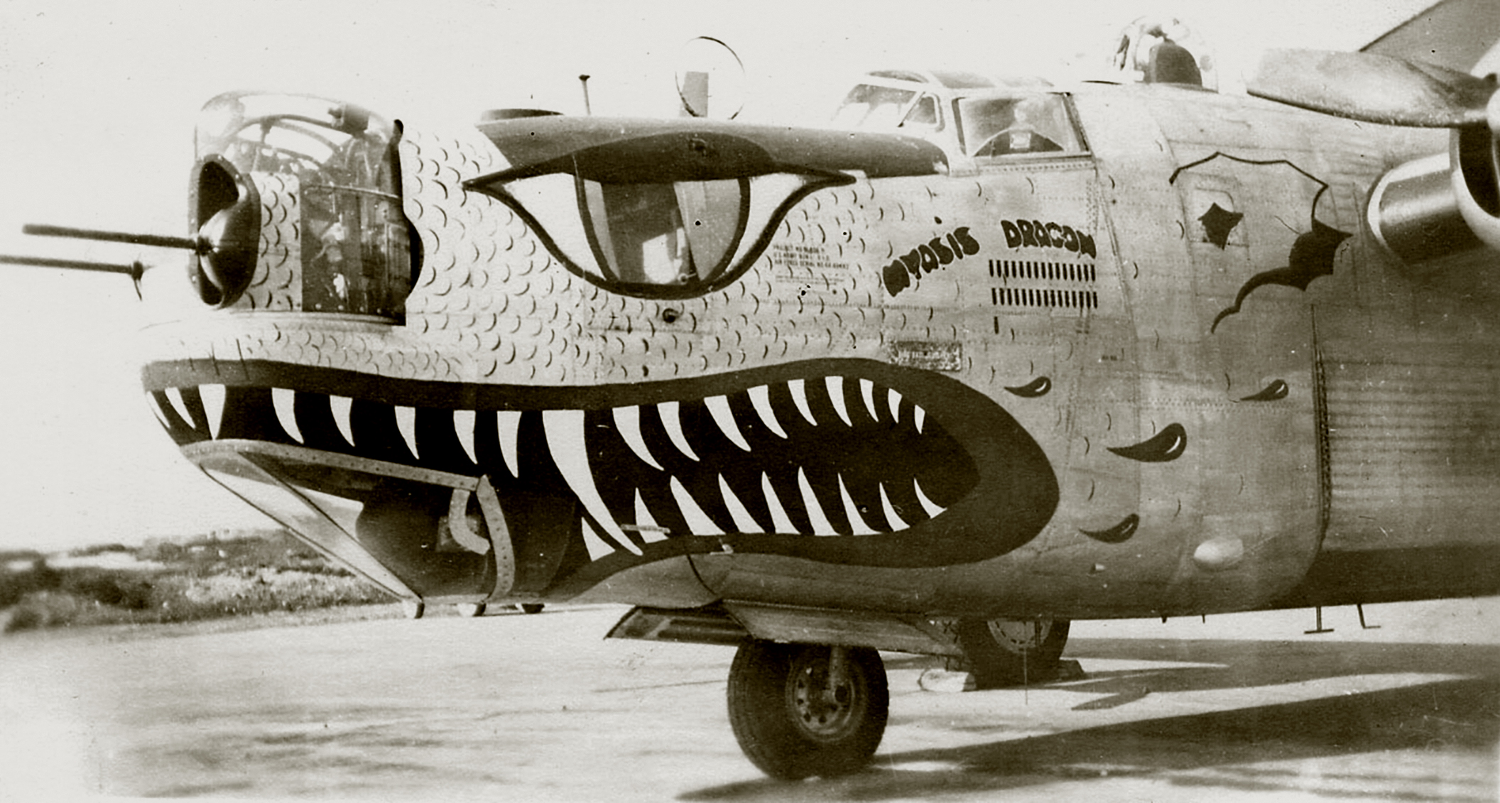 44-49483 B-24L Liberator 11AF 28BG404BS 83 Myasis Dragon Aleutian Islands Western Defense Command 01