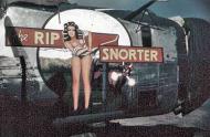 Asisbiz 42-73047 F-7A Liberator 5AF 6BG20BS Rip Snorter nose art right side 02