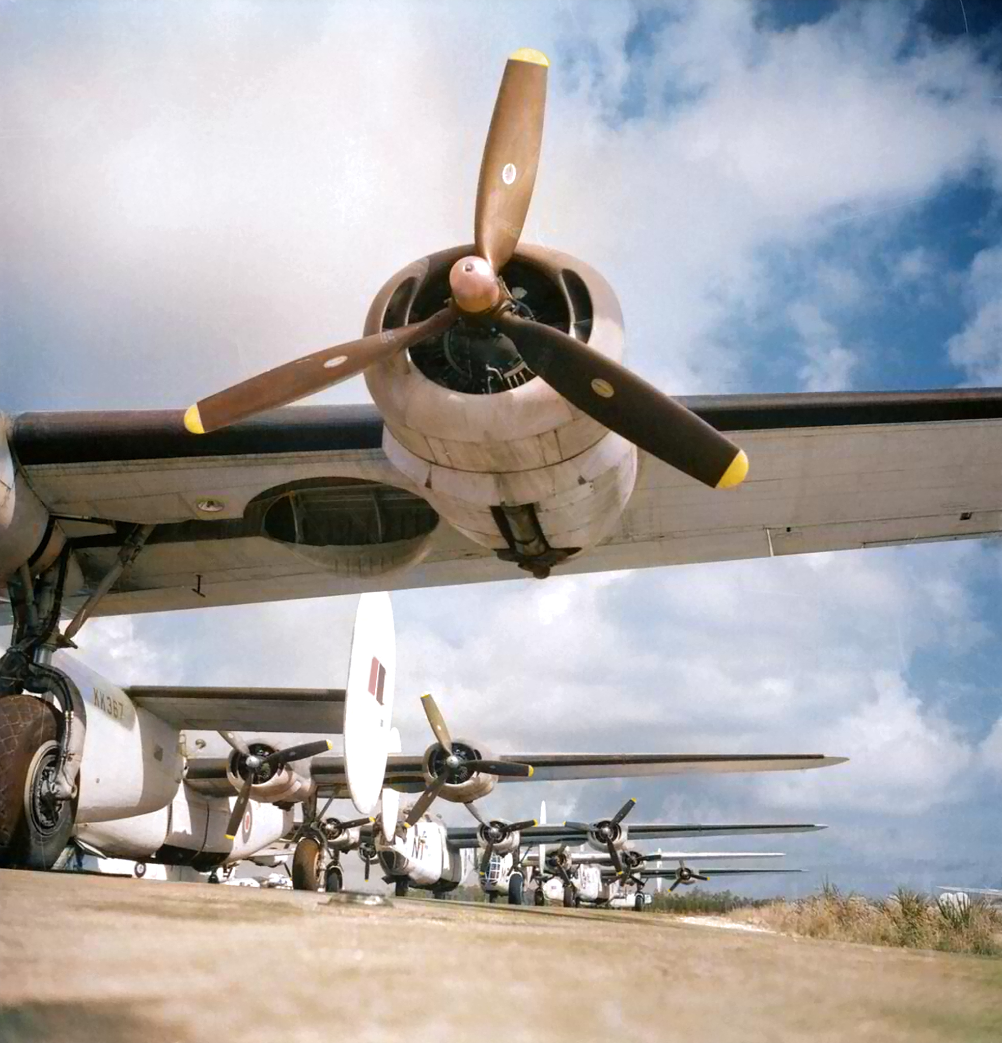 FMS Liberator GRVIII RAF 111 Coastal Operational Training Unit KK367 ex B-24J 44 44448 lined up at Oakes Field Nassau Bahamas IWM 01