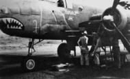 Asisbiz 41 30164 B 25D Mitchell 5AF 345BG499BS Air Apaches Doodle Jr in New Guinea 1943 01