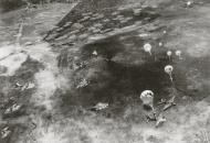 Asisbiz B 25 Mitchells Parachute bombing over Hollandia New Guinea 14th Apr 1944 01