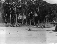 Asisbiz Destroyed Japanese aircraft abandoned on the Munda airstrip New Georgia Solomons 9th Aug 1943 NA1209